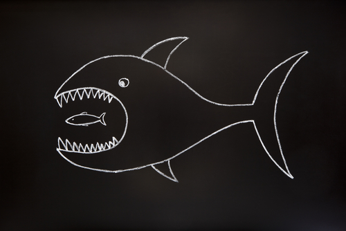 Blackboard Drawing of Shark