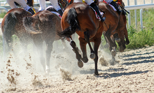 Horses racings