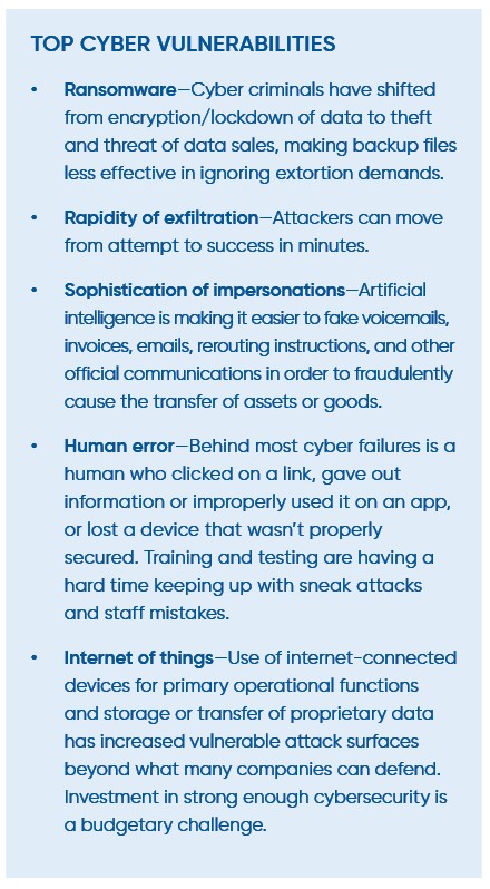 Top Cyber Vulnerabilities